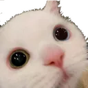 ch_eggenstare