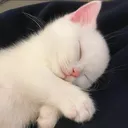 ch_eggensleep