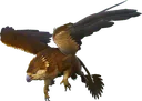 griffin