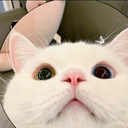 ch_eggenhi Discord emoji