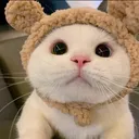 ch_eggenbear