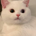 ch_eggenshocked Discord emoji