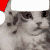 EN_cwismaskitty Discord emoji