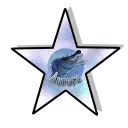 Aurora_Star