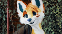 Furry_Insta_min_1030x578 Discord emoji