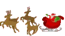 CZ_XmasSantaReindeerSled