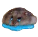 hampter_cri Discord emoji