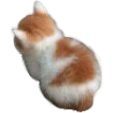 catsit Discord emoji