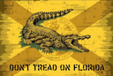 nosteponflorida Discord emoji