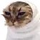 ChatZeubi