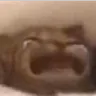 CRY