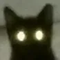 cat_flare