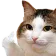 hehfuku hehfuku