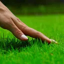 touchgrass touchgrass
