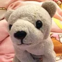 dogbear