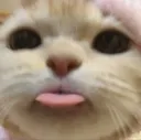 tongueout