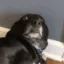 bruhtired