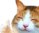 happythumbsup