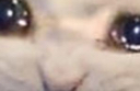 916367102405922836.png
