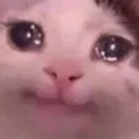 sadkitty sadkitty
