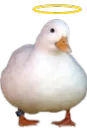 holyduck