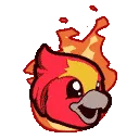 NikFine