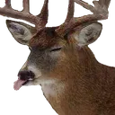 deerblep
