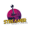 Streamer Logo Discord Emoji