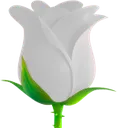 whiteroseemoji