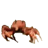 Crab_Rave