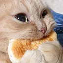 Nyamnyam Discord Emoji