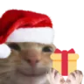 Chrismas
