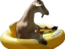 floatgoat