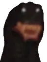 fear