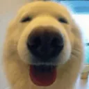 Boop_happy Boop_happy