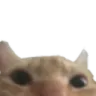 imwatchingyou