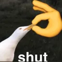 shut