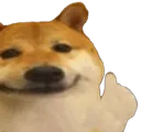 floofok floofok