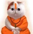 ds_Swami