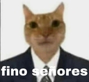 fino_ Discord emoji