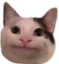 emoji_16