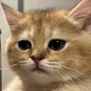 sad sad