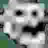 t_ t_