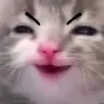 Evilcat