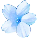 flowerblue