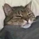 Ci_sleep