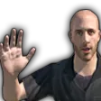SecurityWave SecurityWave