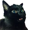 SurpriseCat Discord Emoji