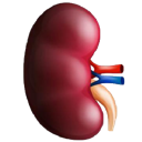 kidney Discord emoji