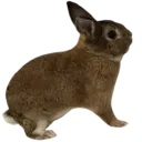 inabastance